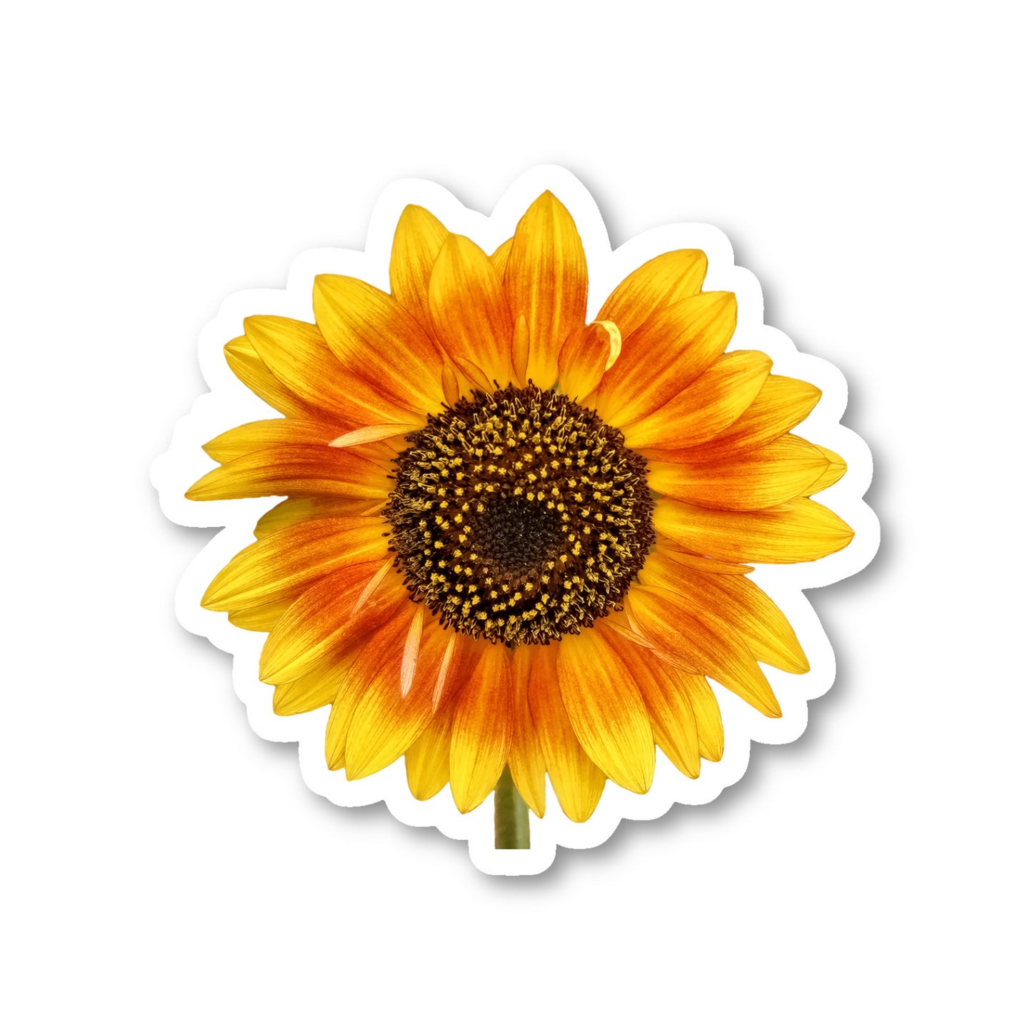 Sunflower Yellow Flowers Vinyl Sticker